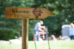 Winsome Hills Winery